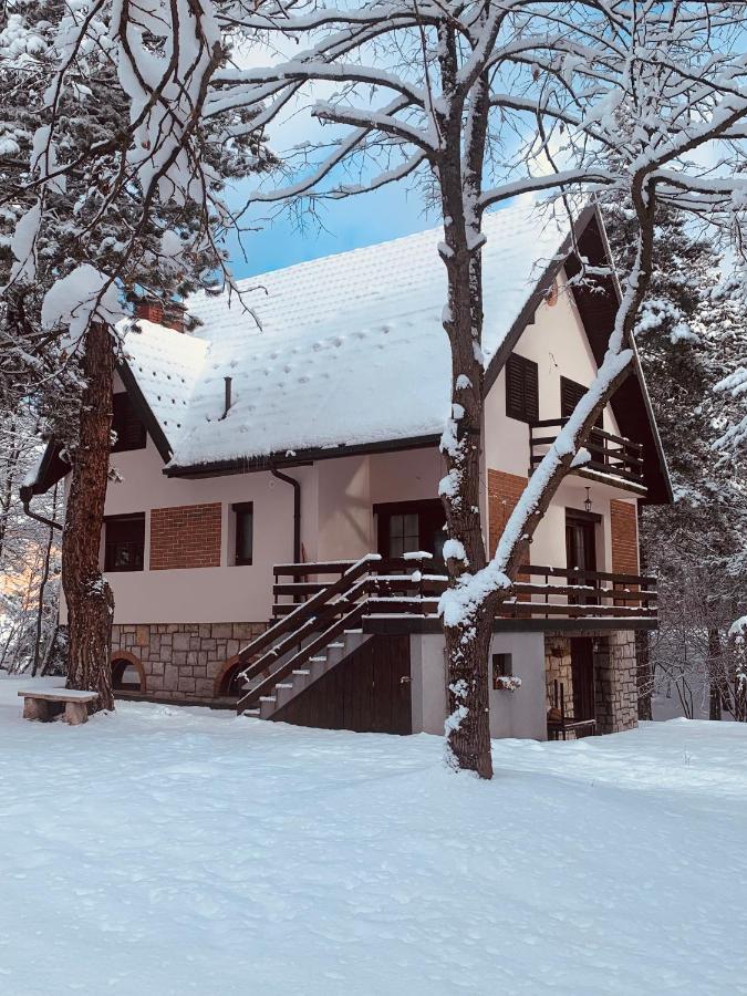 Vila Lucic Zlatibor Eksteriør billede