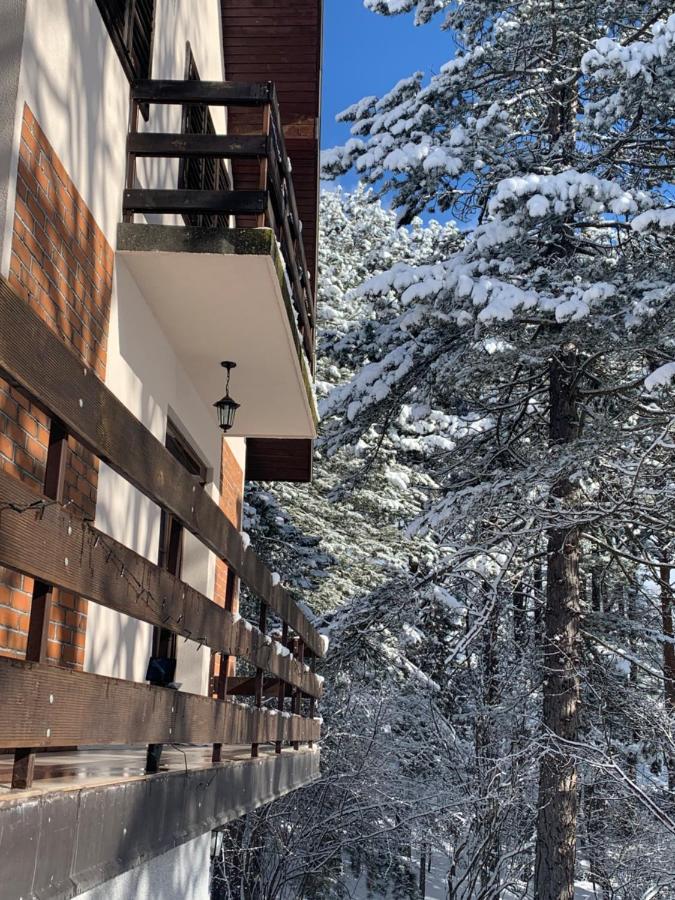 Vila Lucic Zlatibor Eksteriør billede