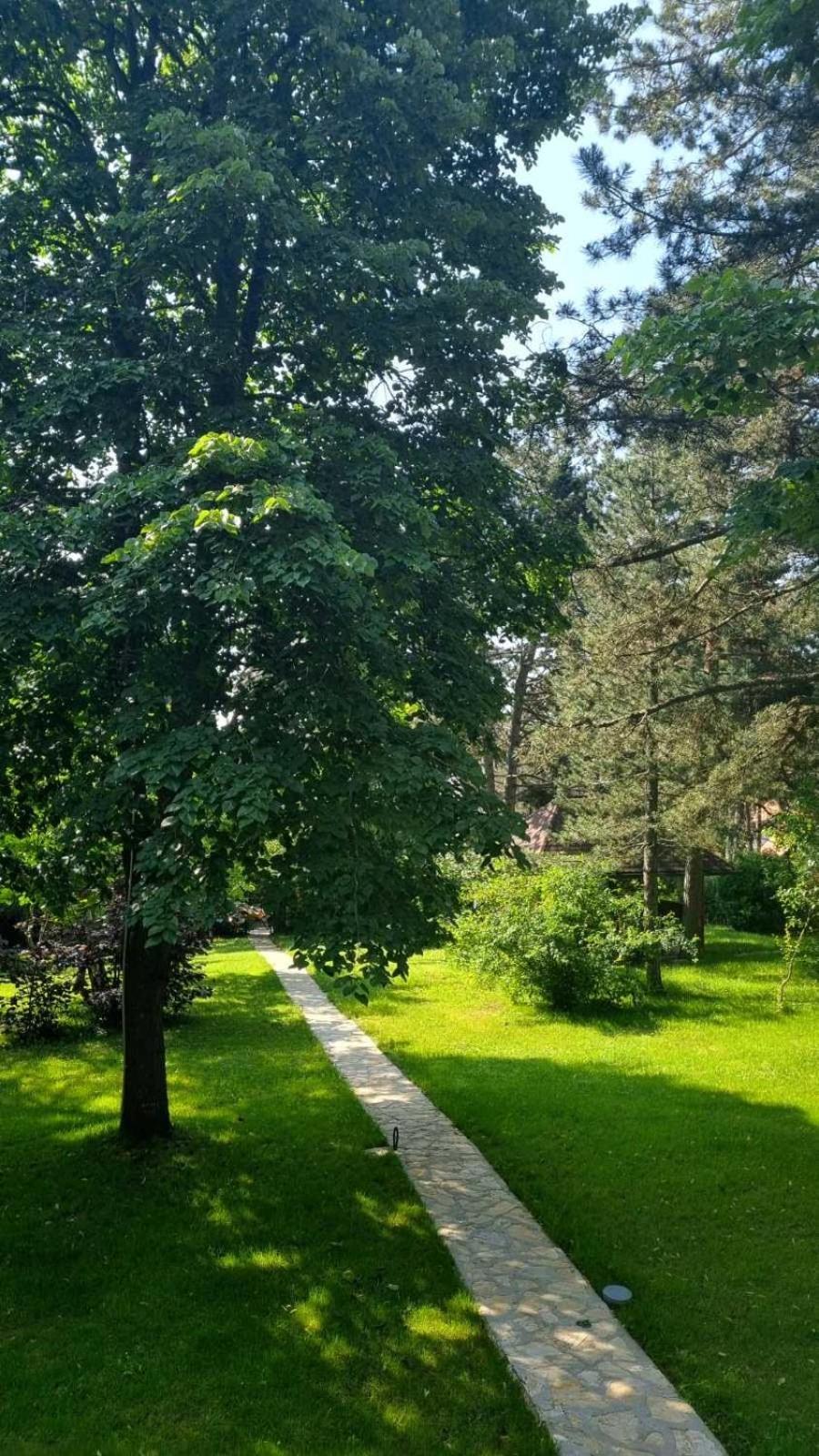 Vila Lucic Zlatibor Eksteriør billede